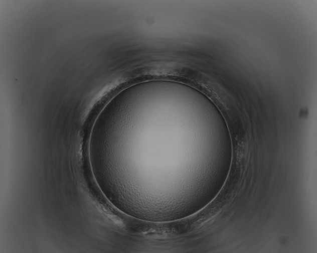 X0000093500727200710191248