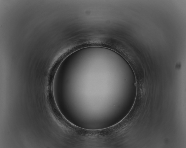 X0000093500728200710191248
