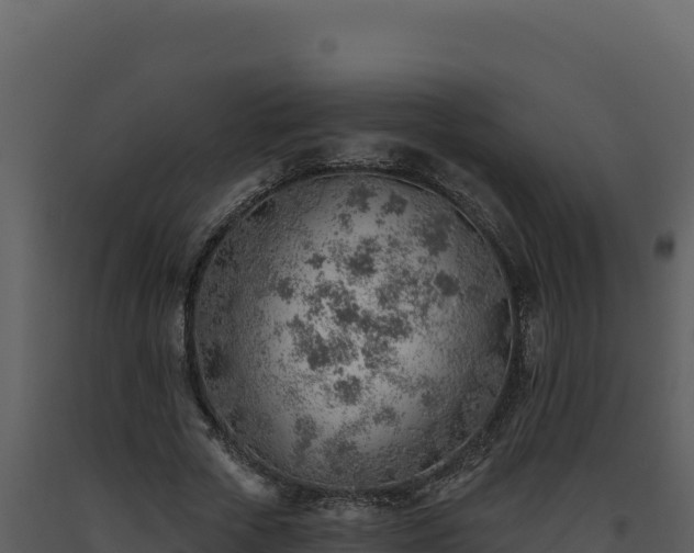 X0000093500729200710191248