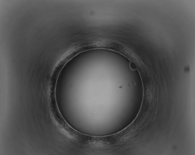 X0000093500730200710191248