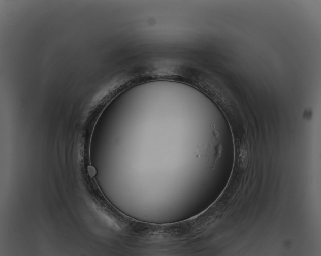 X0000093500732200710191248