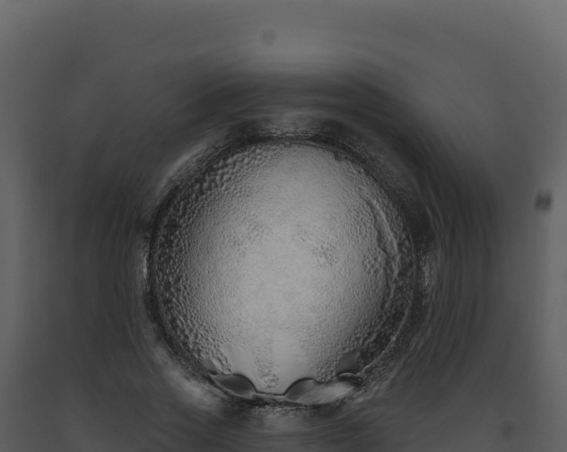 X0000093500733200710191248