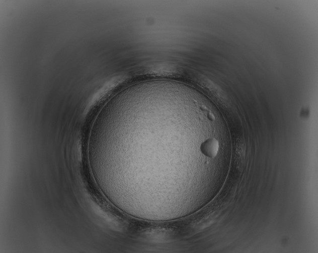 X0000093500734200710191248