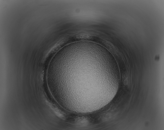 X0000093500735200710191248