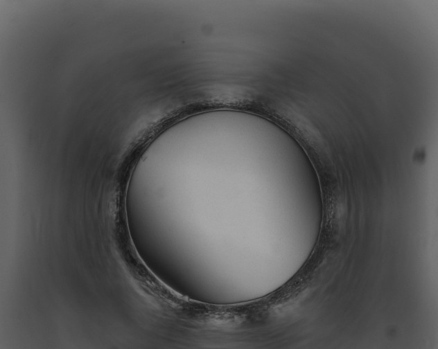 X0000093500736200710191248