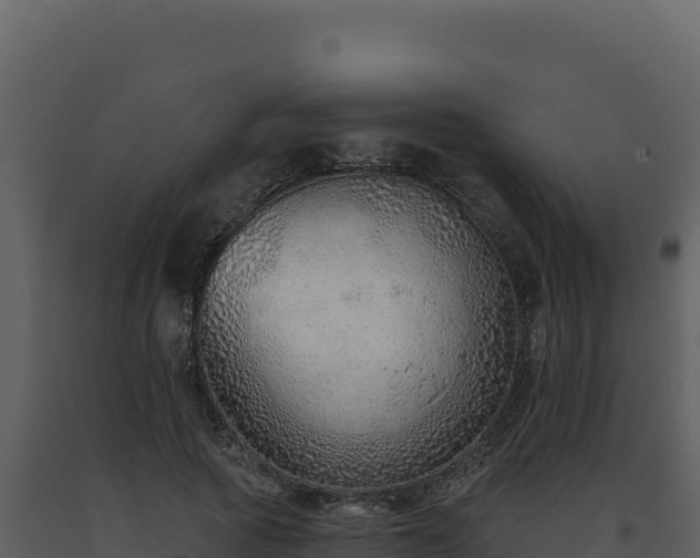 X0000093500737200710191248