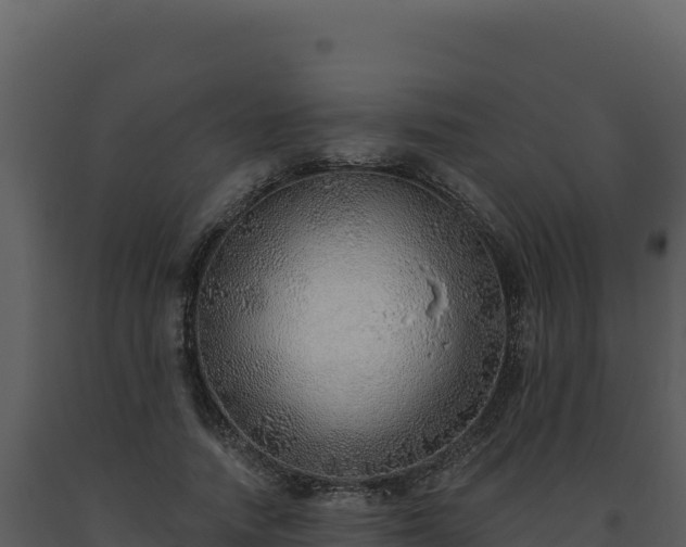 X0000093500738200710191248