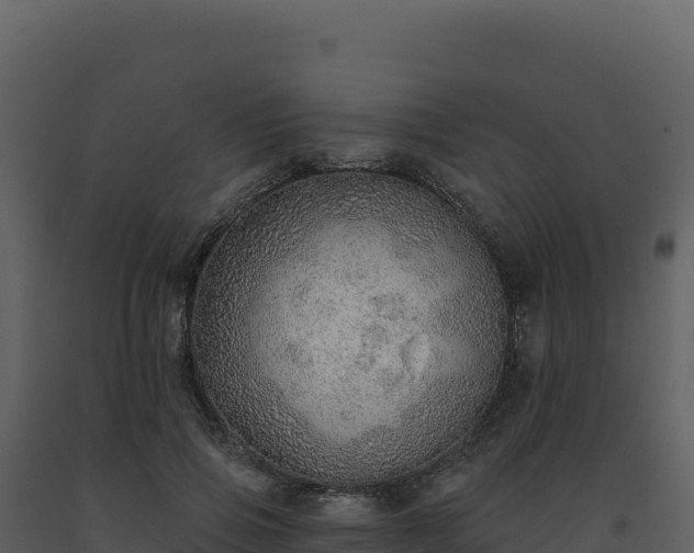 X0000093500741200710191248