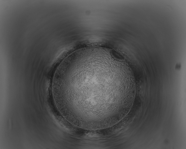 X0000093500742200710191248