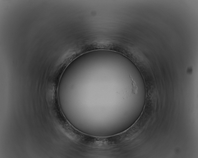 X0000093500744200710191248