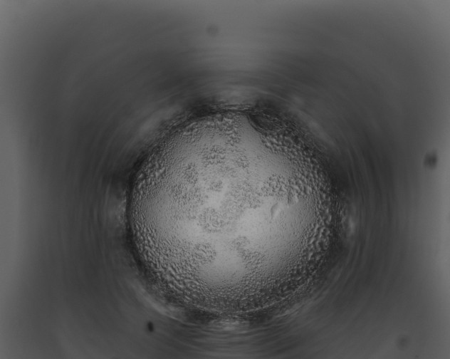 X0000093500745200710191248