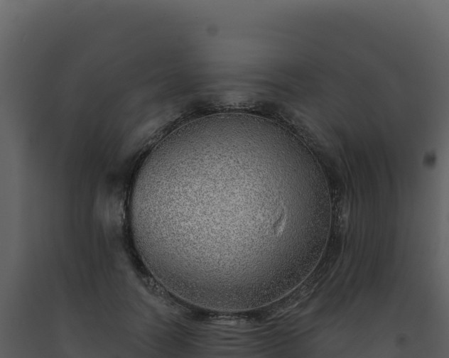 X0000093500746200710191248