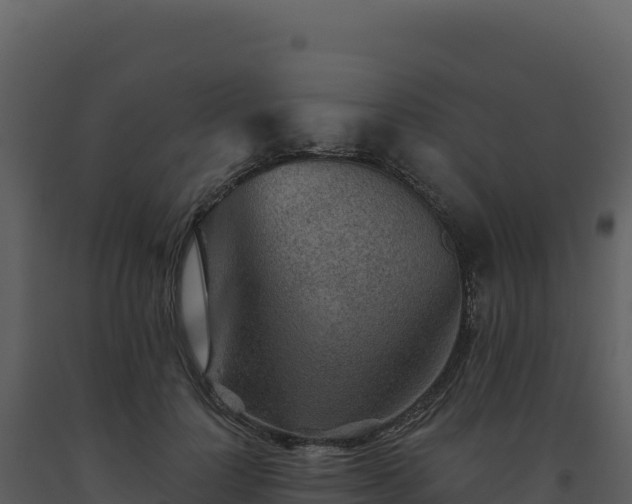 X0000093500748200710191248
