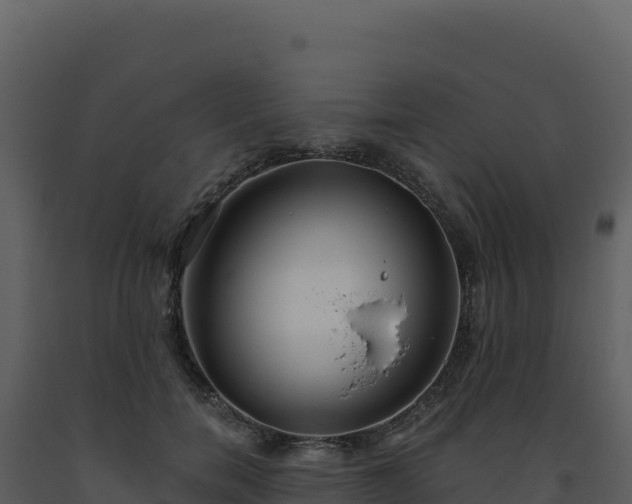 X0000093500750200710191248