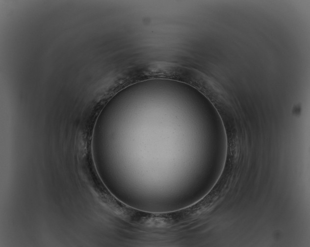 X0000093500751200710191248