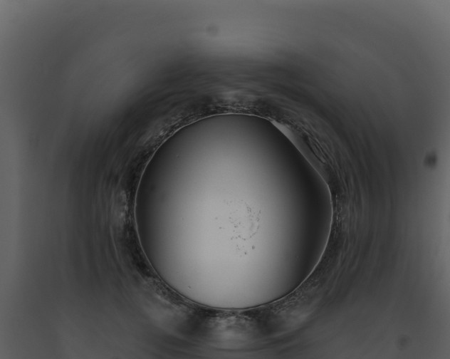 X0000093500752200710191248
