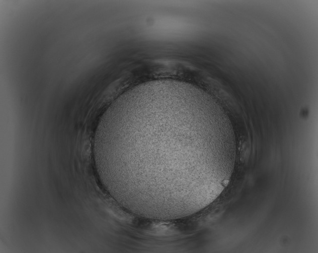 X0000093500753200710191248