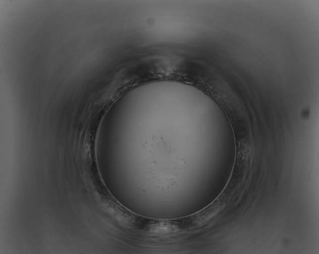 X0000093500754200710191248