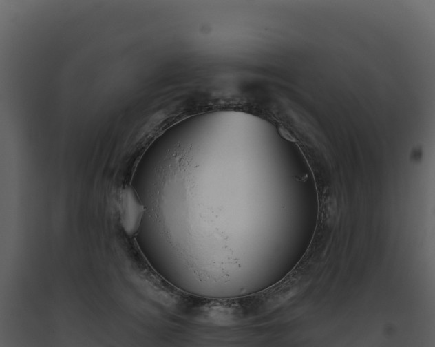 X0000093500756200710191248