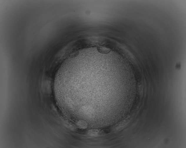 X0000093500757200710191248