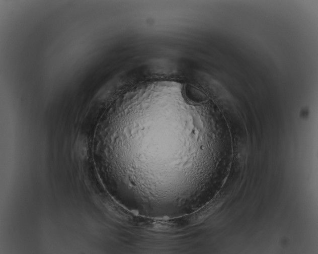 X0000093500758200710191248