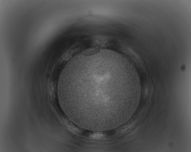 X0000093500759200710191248