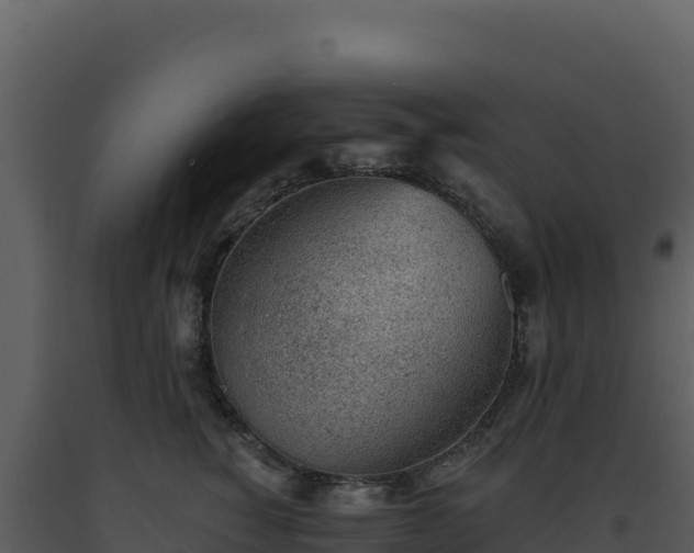 X0000093500760200710191248