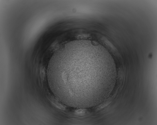 X0000093500761200710191248