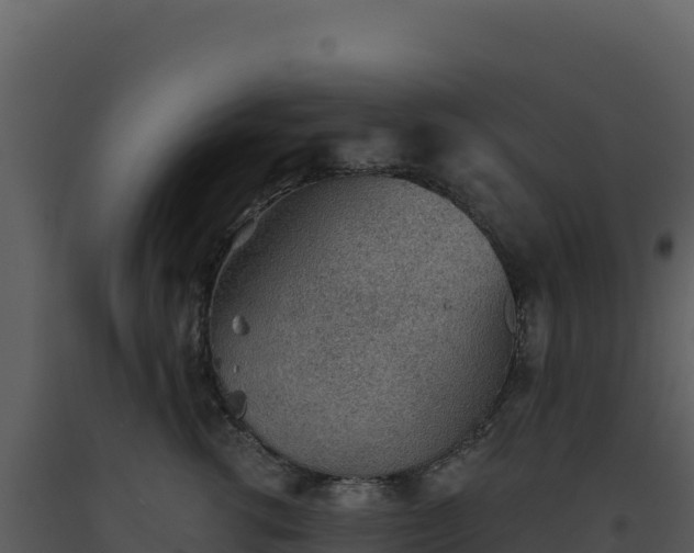 X0000093500762200710191248