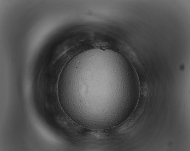 X0000093500763200710191248