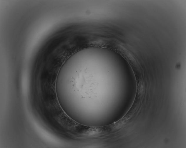 X0000093500764200710191249