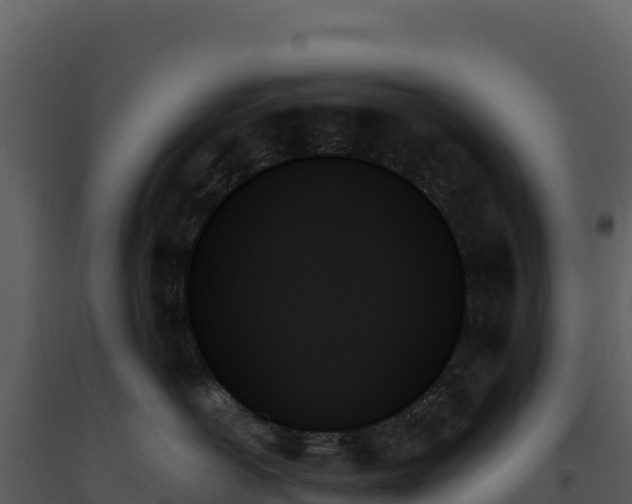 X0000093500766200710191249