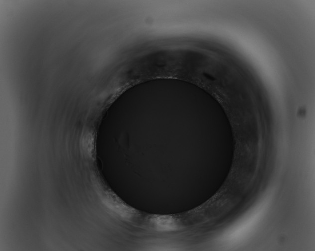 X0000093500767200710191249