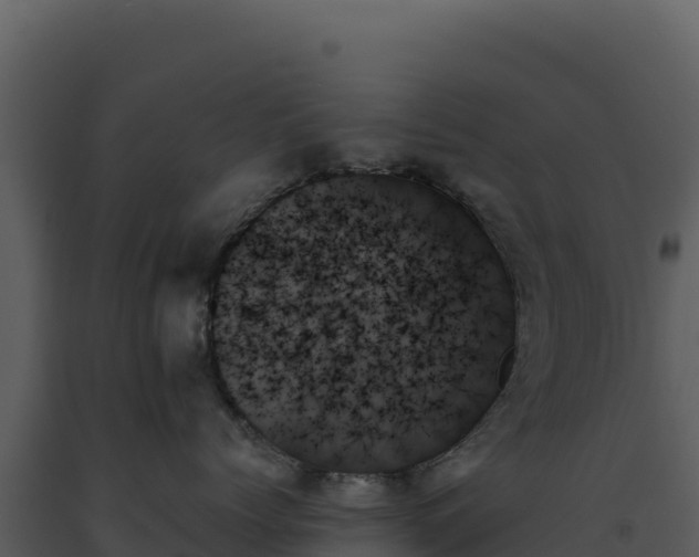 X0000093500768200710191249