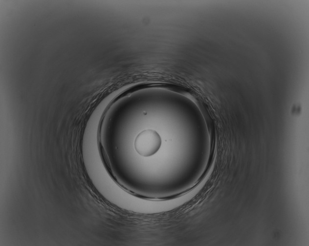 X0000093500769200710191248