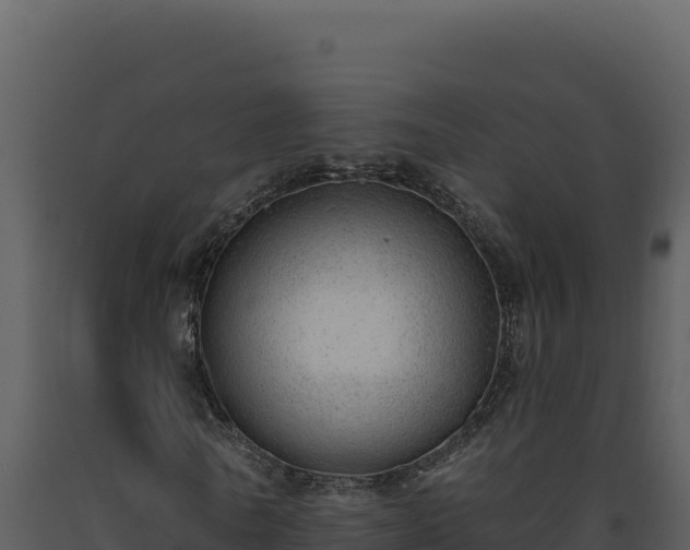 X0000093500770200710191248
