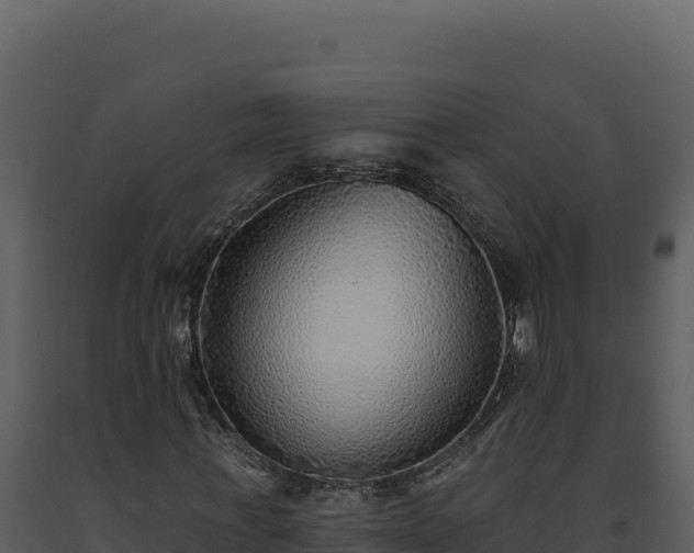 X0000093500771200710191248