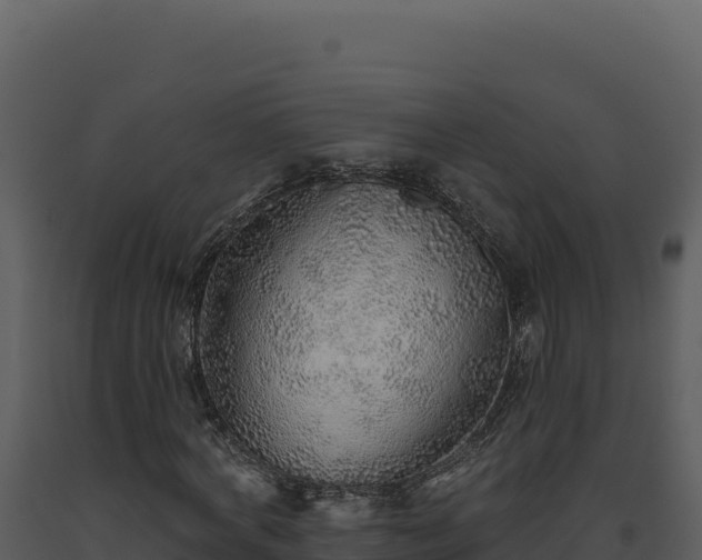 X0000093500772200710191248