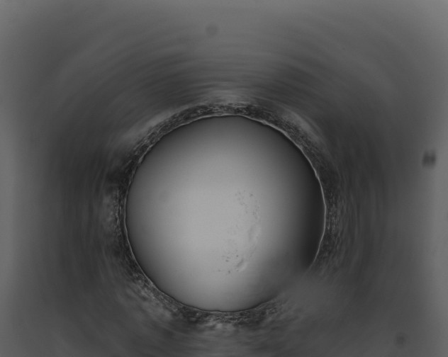 X0000093500773200710191248