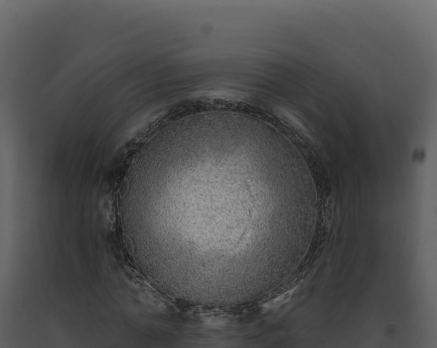 X0000093500774200710191248
