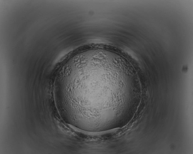 X0000093500775200710191248