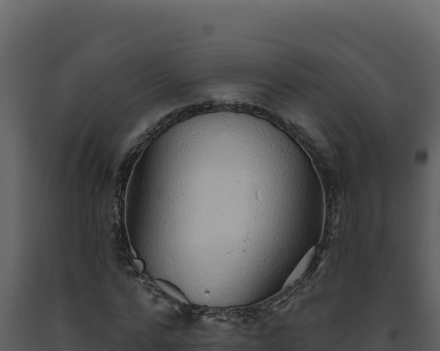 X0000093500776200710191248
