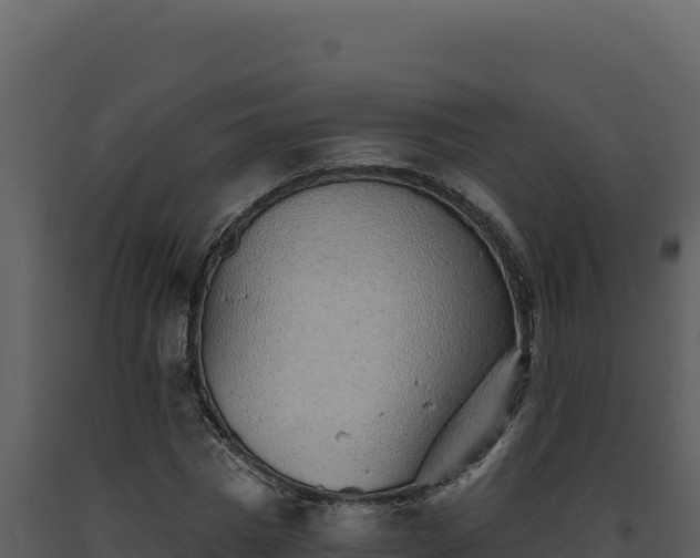 X0000093500777200710191248