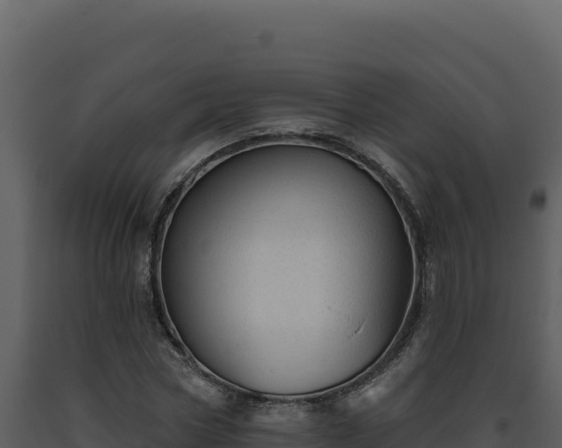 X0000093500778200710191248
