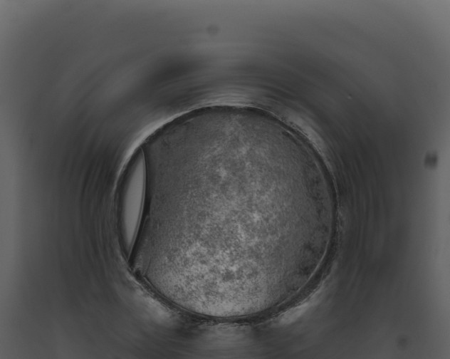 X0000093500779200710191248