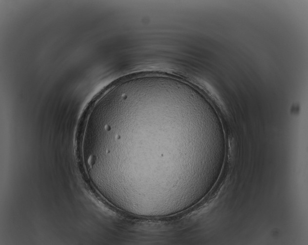 X0000093500780200710191248