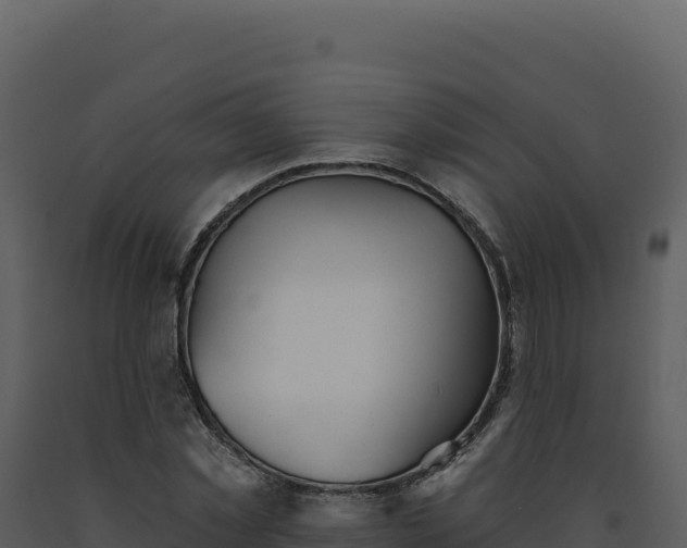 X0000093500781200710191248
