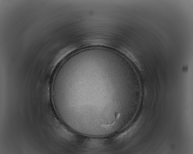 X0000093500782200710191248