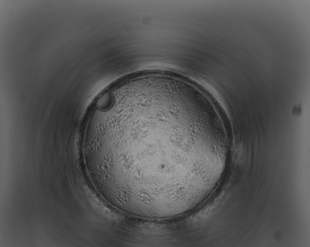 X0000093500783200710191248