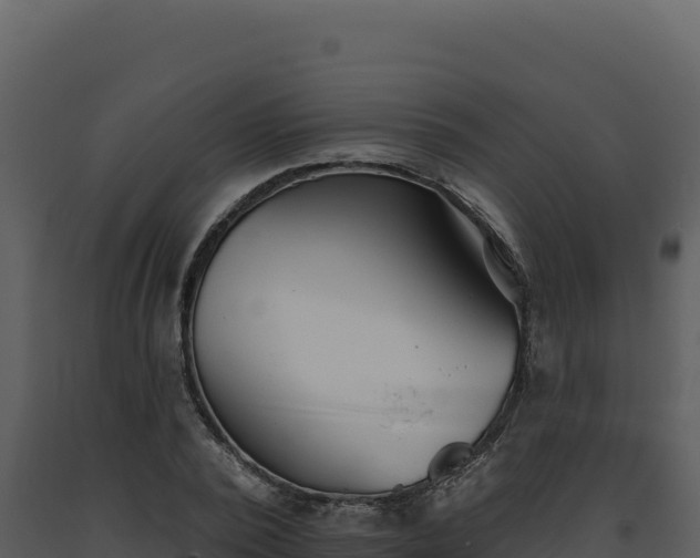 X0000093500784200710191248